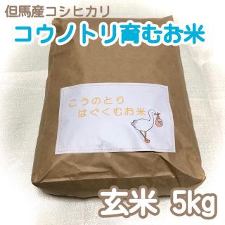 ✿コウノトリ育むお米✿ 玄米 5kg 但馬産こしひかり(米/穀物)