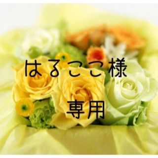 はるここ様専用　お米　令和4年　愛媛県産ヒノヒカリ　玄米　30㎏(米/穀物)