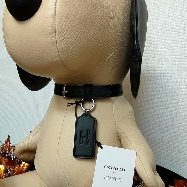 2022 COACH×PEANUTS ドール | www.innoveering.net