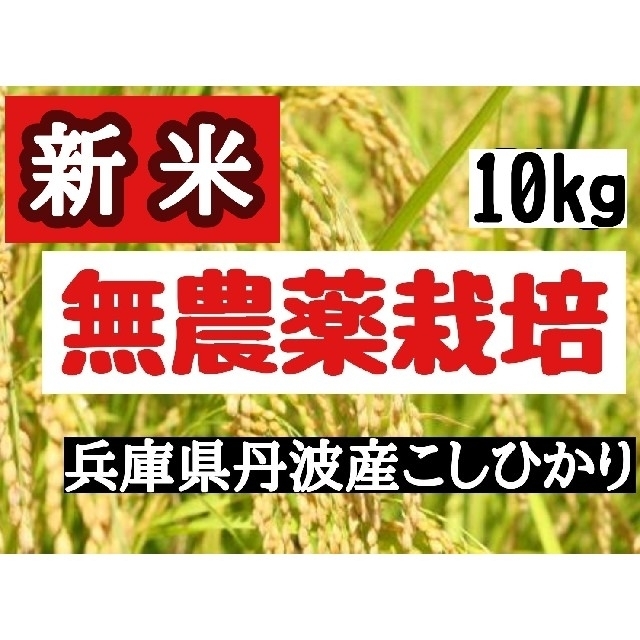 兵庫県丹波産こしひかり玄米10kg(令和4年産)