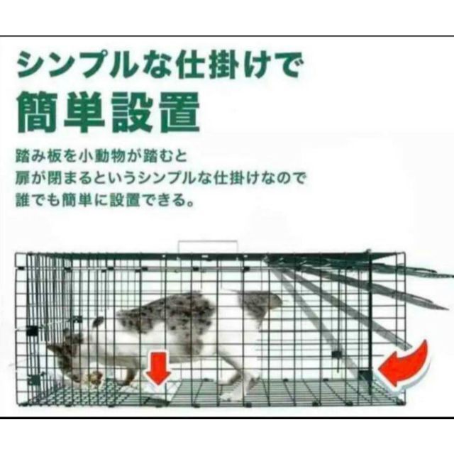 動物捕獲器 Mサイズ　アニマルトラップ 野良猫 迷子猫 小動物保護 害獣被害