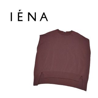 イエナ ニットベスト ニット/セーター(レディース)の通販 54点 | IENA