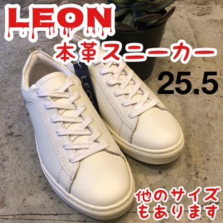 LEON メンズ　オンオフ兼用　レザー　スニーカー　本革　白　25.5㎝（大き目(スニーカー)