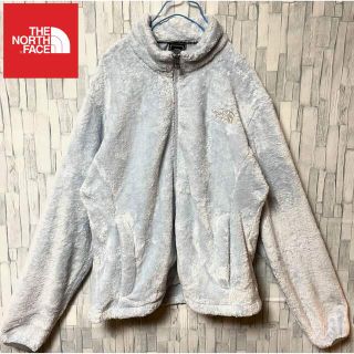 ザノースフェイス(THE NORTH FACE)のノースフェイス フリース ボア 水色 スカイブルー刺繍ロゴ 起毛 希少色 ジップ(ブルゾン)