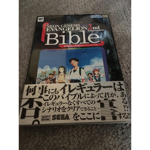 SEGA(セガ)のエヴァンゲリオン セカンド インプレッション 本 カラー エンタメ/ホビーの漫画(全巻セット)の商品写真