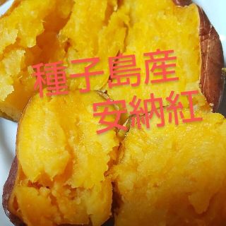 種子島産安納紅ミニ~Sサイズ混合10キロ(野菜)