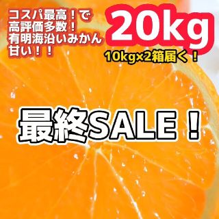 ③極早生 みかん 20kg！10kgよりもお得！コスパ最高 農家直送(フルーツ)