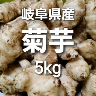 05 岐阜県産  無農薬 菊芋 5kg 土付き 堀り立て発送！(野菜)