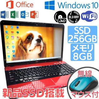 エヌイーシー(NEC)の✨オフィス付き✨初期設定不要✨すぐ使える✨Win10搭載NECノートPC✨367(ノートPC)