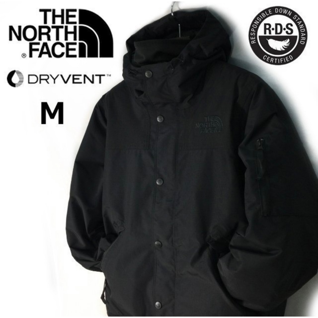 THE NORTH FACE(ザノースフェイス)の定価5万 US限定 ノースフェイス マウンテンダウンジャケット 日本未発売 Ｍ メンズのジャケット/アウター(ダウンジャケット)の商品写真