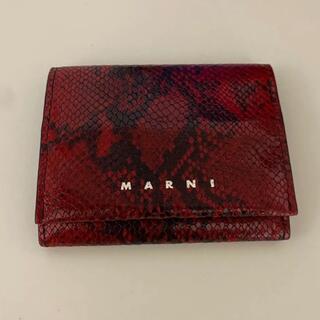 Marni - マルニ　MARNI 財布　パイソン　赤　レッド