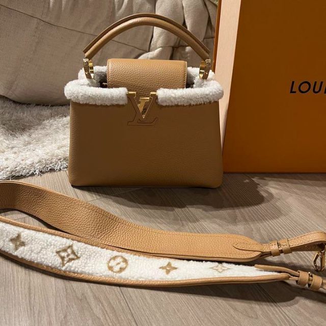 LOUIS VUITTON - カプシーヌBB