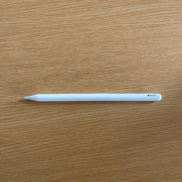 アップルペンシル Apple Pencil 第2世代 100 %品質保証 4370円引き