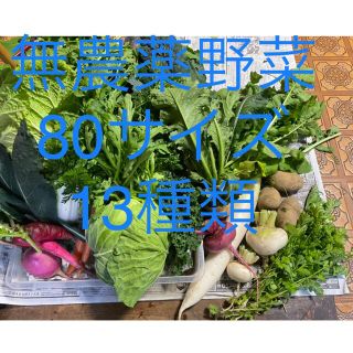 無農薬野菜詰め合わせ　(80サイズ)(野菜)