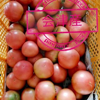 8キロ　高原トマト　南会津産　桃太郎(野菜)