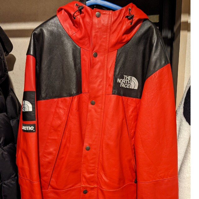 Supreme The North Face Leather Mounta