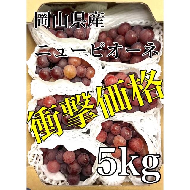 残り僅か！！衝撃価格！！岡山県産【ニューピオーネ】6〜7房 約5kg