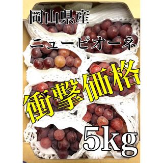 残り僅か！！衝撃価格！！岡山県産【ニューピオーネ】6〜7房 約5kg(フルーツ)