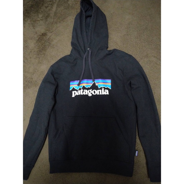 patagonia(パタゴニア)のpatagonia パタゴニア　P-6ロゴ　アップライザル　フーディ レディースのトップス(パーカー)の商品写真