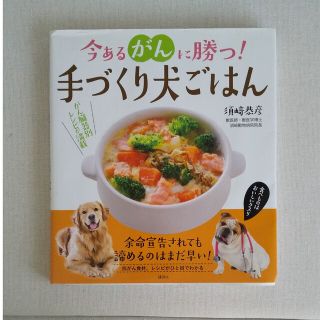 今あるがんに勝つ！手づくり犬ごはん 食べものはおいしいクスリ(住まい/暮らし/子育て)