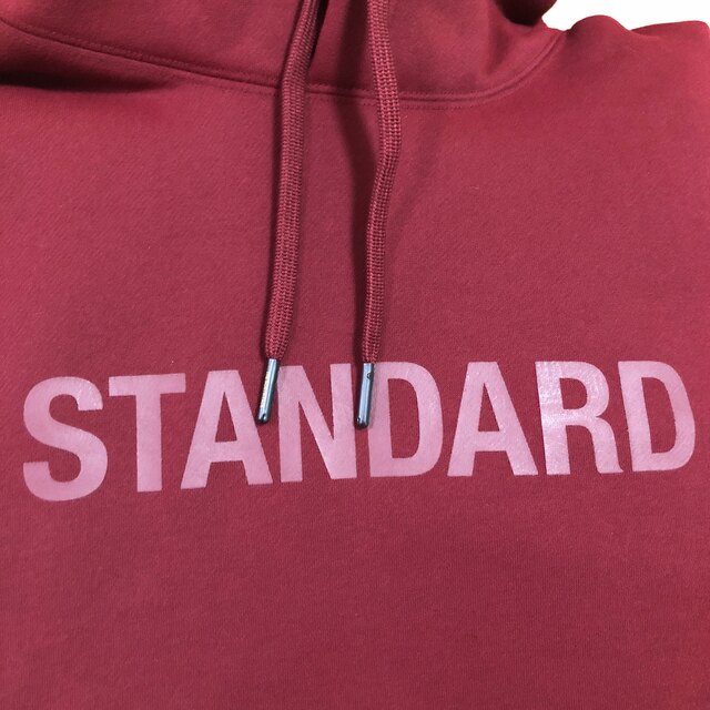 THE NORTH FACE(ザノースフェイス)のSTANDARD Hoodie Mサイズ メンズのトップス(パーカー)の商品写真