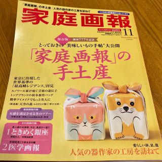 家庭画報プレミアムライト版 2022年 11月号(その他)