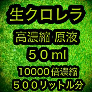 【鮮度】生クロレラ原液【高濃縮】50ml 500リットル分 10000倍濃縮