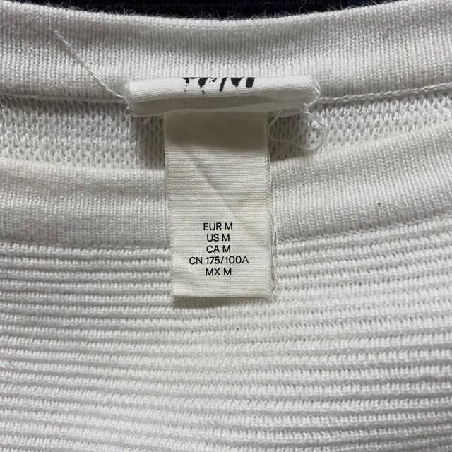 H&M(エイチアンドエム)のH&M メンズ トップス メンズのトップス(Tシャツ/カットソー(七分/長袖))の商品写真