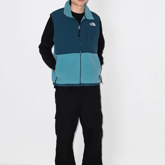 新品 THE NORTH FACE フリース デナリ ベスト S