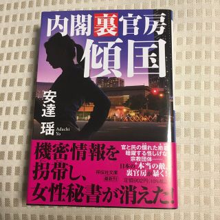 傾国　内閣裏官房(文学/小説)