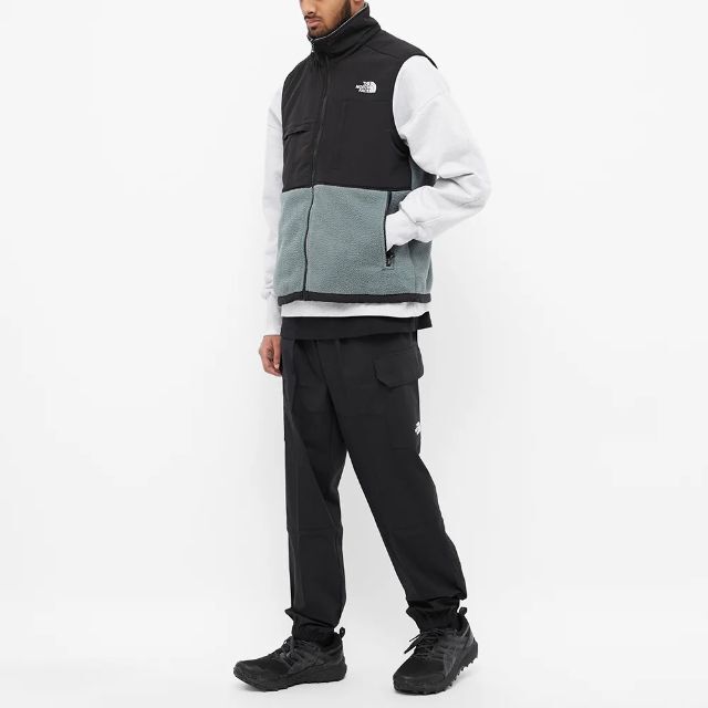 THE NORTH FACE - 新品 THE NORTH FACE フリース デナリ ベスト THE NORTH FACE - 新品 THE NORTH FACE フリース デナリ ベスト