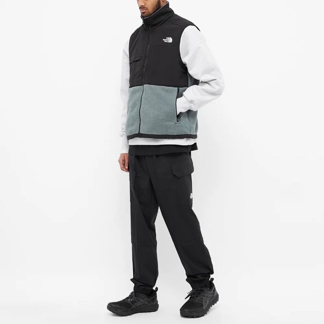 新品 THE NORTH FACE フリース デナリ ベスト　L