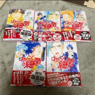 アキタショテン(秋田書店)の新品　はたらく細菌　1巻から5巻の5冊セット(青年漫画)