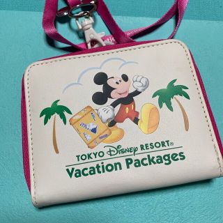 ディズニー(Disney)のバケーションパッケージ　パスケース(パスケース/IDカードホルダー)