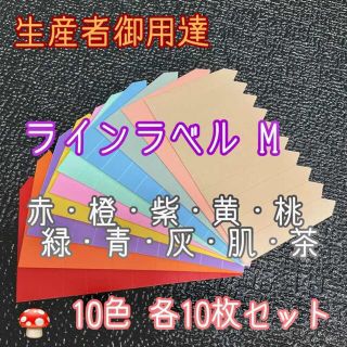 ラインラベル 中 100枚園芸ラベル カラーラベル 多肉植物 エケベリア(プランター)