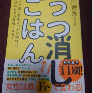 うつ消しごはん タンパク質と鉄をたっぷり摂れば心と体はみるみる軽く(その他)