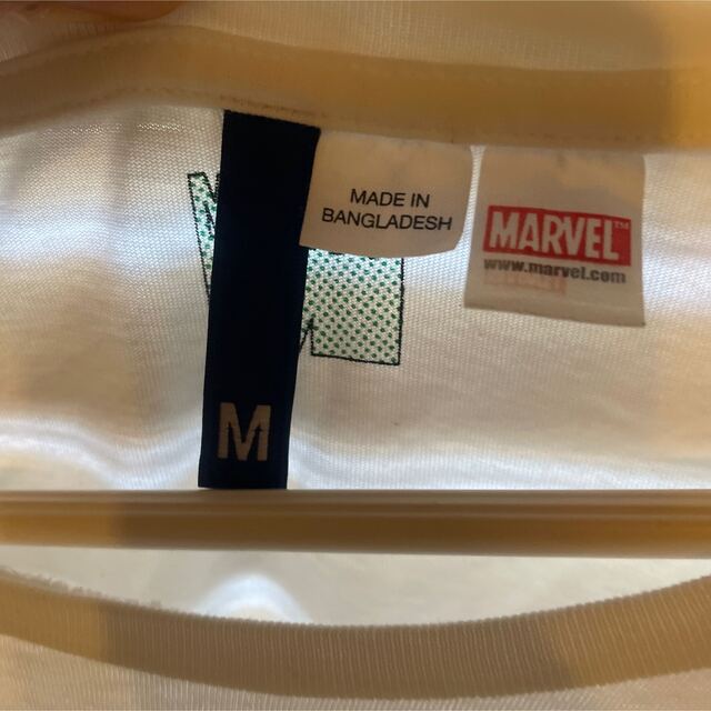 H&M(エイチアンドエム)のハルク　　Tシャツ メンズのトップス(Tシャツ/カットソー(半袖/袖なし))の商品写真