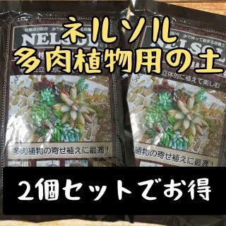 2個セットでお得ネルソル多肉植物寄せ植え用の土(プランター)