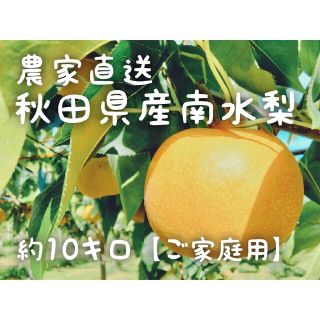 (13玉〜14玉サイズ南水梨)約10kg訳ありご家庭用★送料込★秋田県産(フルーツ)