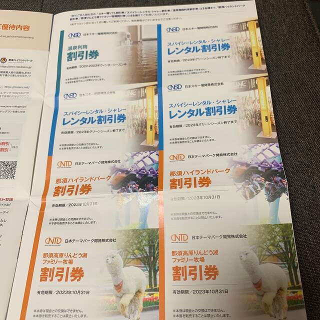 日本駐車場開発株主優待券 チケットの施設利用券(スキー場)の商品写真