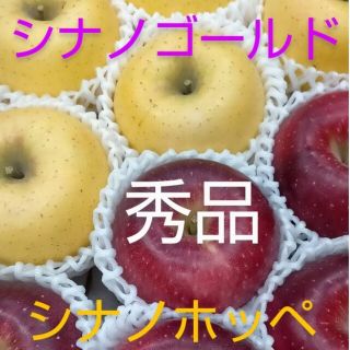 信州産 りんご「シナノホッペ」「シナノゴールド」(秀品) ミックス 合計3㎏以上(フルーツ)