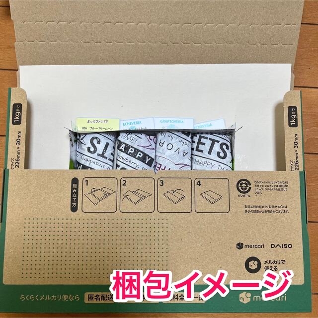 29日のみセール　多肉植物　小苗セットH おらいさん苗　夕波　他 ハンドメイドのフラワー/ガーデン(その他)の商品写真