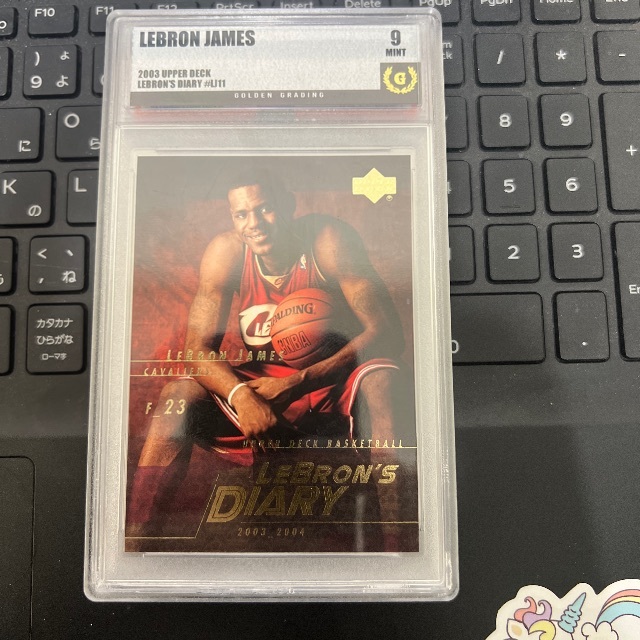 シングルカード LeBron James and Michael Jordan