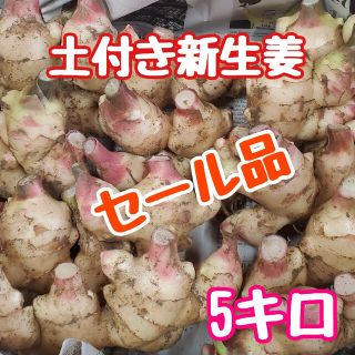 セール品 土付き新生姜5キロ(野菜)