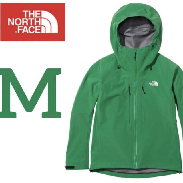 ゴアテックスTHE NORTH FACE ザノースフェイス アイアンマスクジャケットM新品