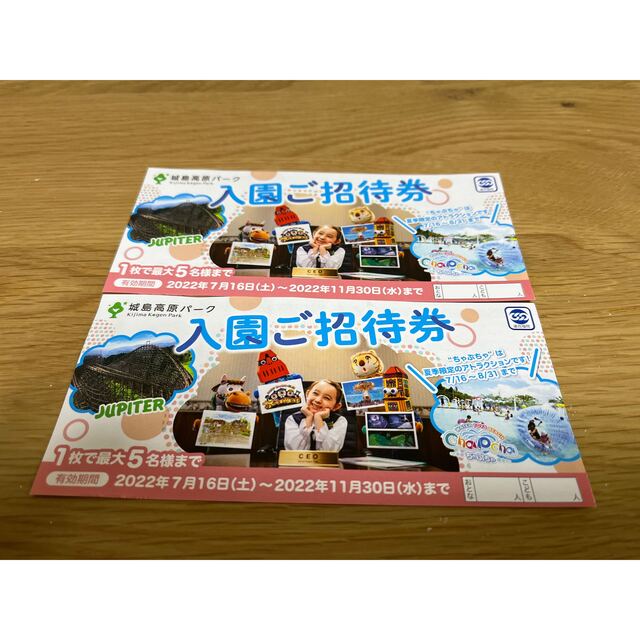 城島高原パーク無料入園券2枚！！ チケットのチケット その他(その他)の商品写真