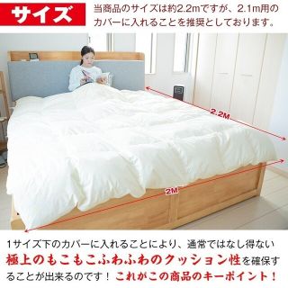 【新品/送料無料】ふかふか羽毛布団(ダブル) 羽毛2.4kg 掛け布団 ふとん