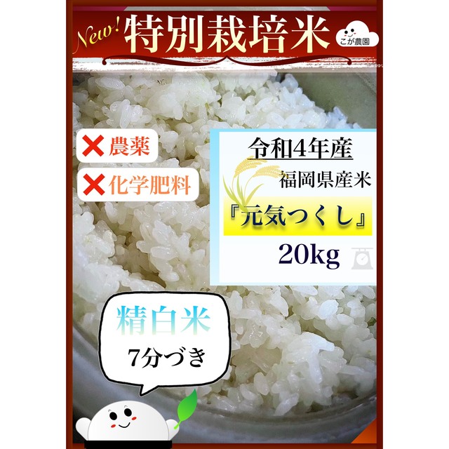 準自然米　福岡県産『元気つくし』令和４年産　精白米20kg