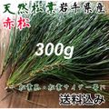 楽天市場】岩手 県 産 松茸の通販