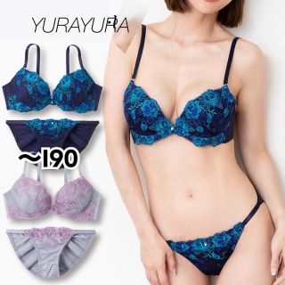 脇高育乳★オーロラローズブラジャー＆ショーツ、新品未使用タグ付き(ブラ&ショーツセット)